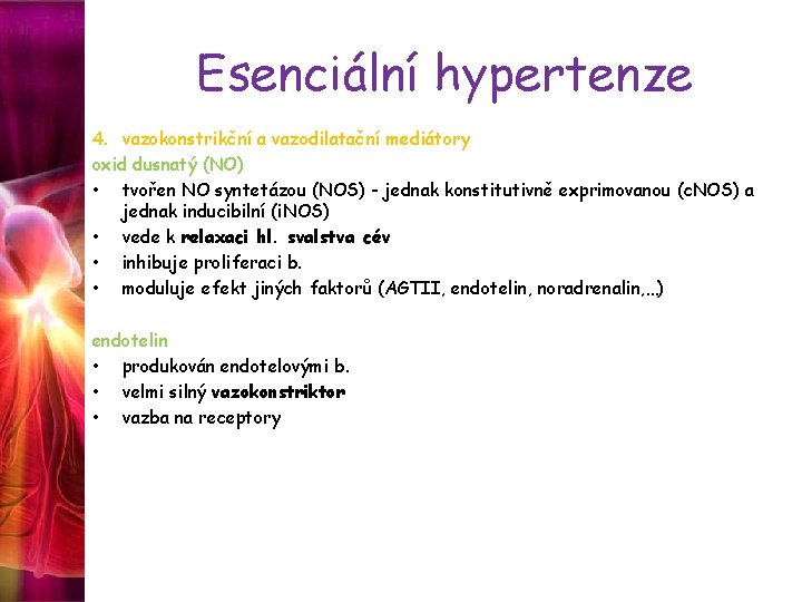 Esenciální hypertenze 4. vazokonstrikční a vazodilatační mediátory oxid dusnatý (NO) • tvořen NO syntetázou