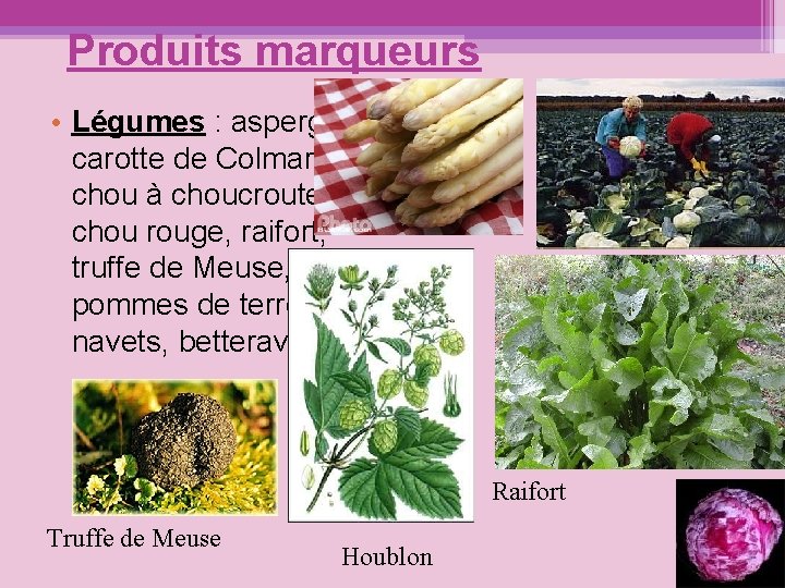 Produits marqueurs • Légumes : asperge, carotte de Colmar, chou à choucroute, chou rouge,