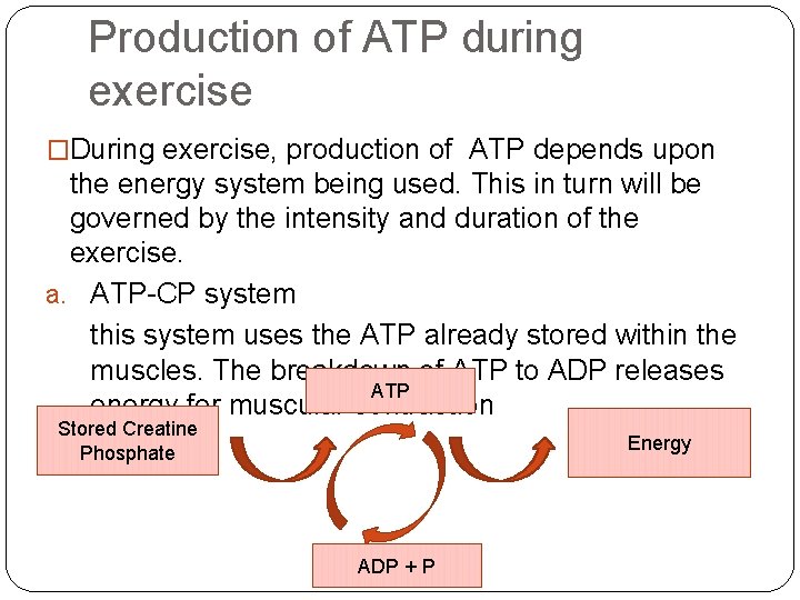 Production of ATP during exercise �During exercise, production of ATP depends upon the energy