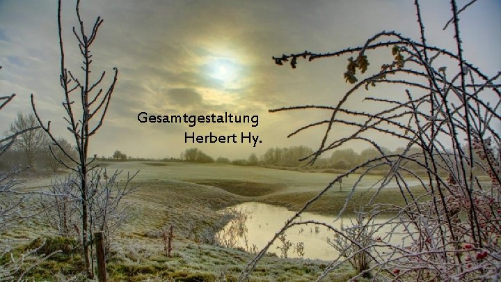 Gesamtgestaltung Herbert Hy. 