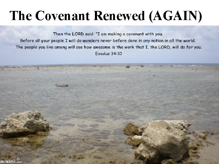 The Covenant Renewed (AGAIN) 