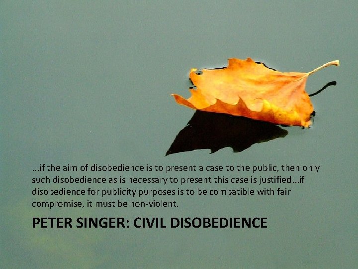 . . . if the aim of disobedience is to present a case to
