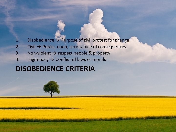 1. 2. 3. 4. Disobedience Purpose of civil protest for change Civil Public, open,