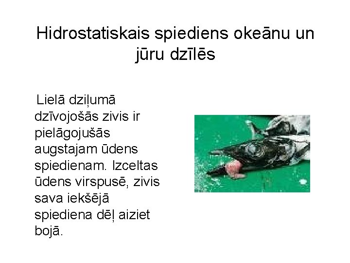 Hidrostatiskais spiediens okeānu un jūru dzīlēs Lielā dziļumā dzīvojošās zivis ir pielāgojušās augstajam ūdens