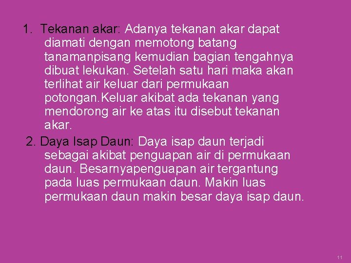 1. Tekanan akar: Adanya tekanan akar dapat diamati dengan memotong batang tanamanpisang kemudian bagian