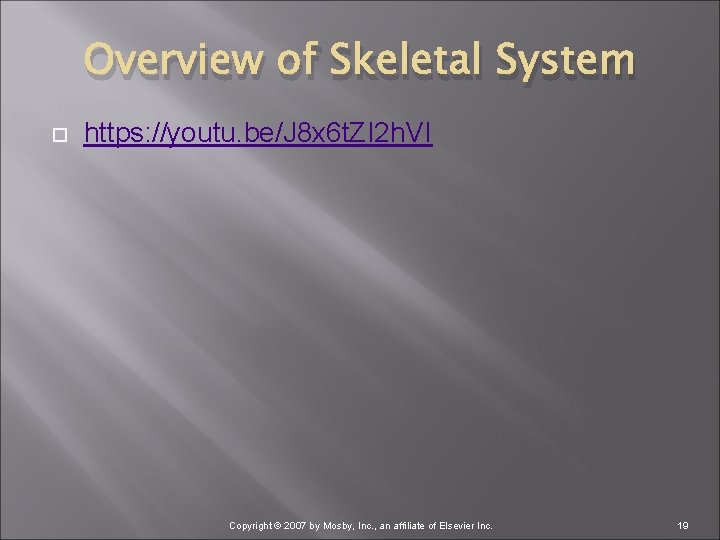 Overview of Skeletal System https: //youtu. be/J 8 x 6 t. ZI 2 h.