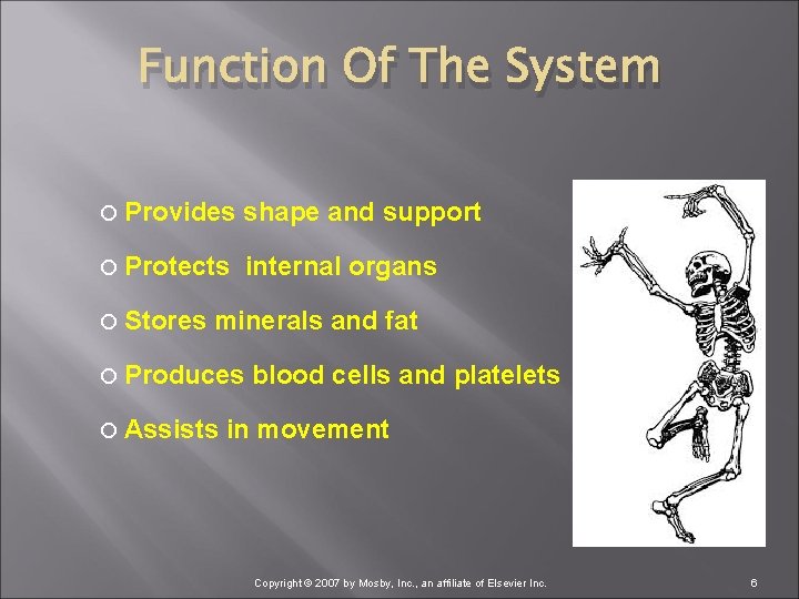Function Of The System Provides shape and support Protects internal organs Stores minerals and