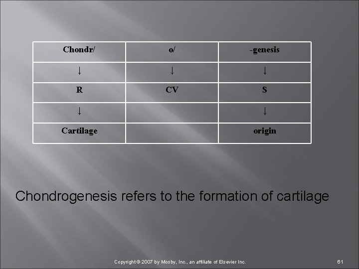 Chondr/ o/ -genesis ↓ ↓ ↓ R CV S ↓ ↓ Cartilage origin Chondrogenesis