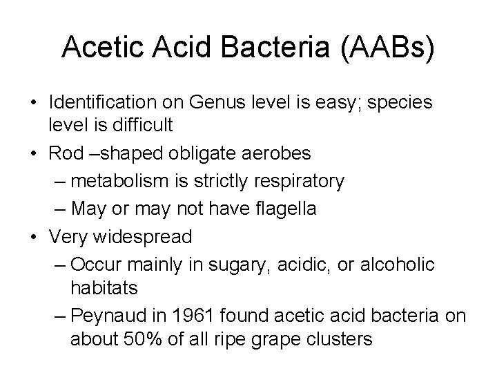 Acetic Acid Bacteria (AABs) • Identification on Genus level is easy; species level is