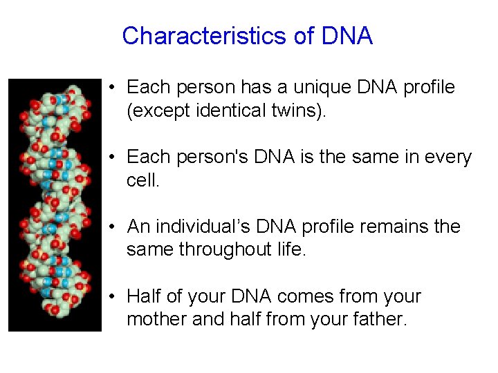 Characteristics of DNA • Each person has a unique DNA profile (except identical twins). Characteristics of DNA • Each person has a unique DNA profile (except identical twins).