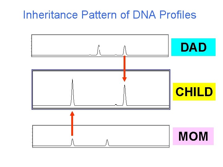 Inheritance Pattern of DNA Profiles DAD CHILD MOM  Inheritance Pattern of DNA Profiles DAD CHILD MOM
