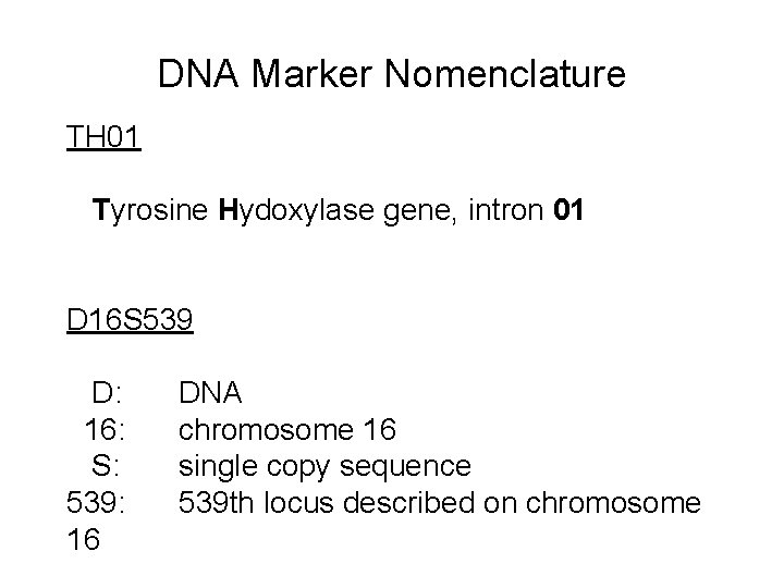 DNA Marker Nomenclature TH 01 Tyrosine Hydoxylase gene, intron 01 D 16 S 539 DNA Marker Nomenclature TH 01 Tyrosine Hydoxylase gene, intron 01 D 16 S 539