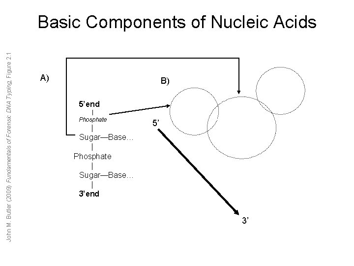 John M. Butler (2009) Fundamentals of Forensic DNA Typing, Figure 2. 1 Basic Components John M. Butler (2009) Fundamentals of Forensic DNA Typing, Figure 2. 1 Basic Components