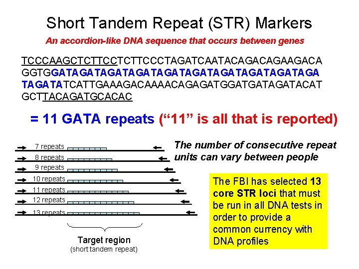Chapter 2 Basics of DNA Biology and