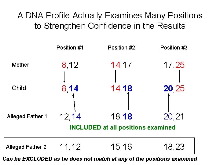 A DNA Profile Actually Examines Many Positions to Strengthen Confidence in the Results Position A DNA Profile Actually Examines Many Positions to Strengthen Confidence in the Results Position