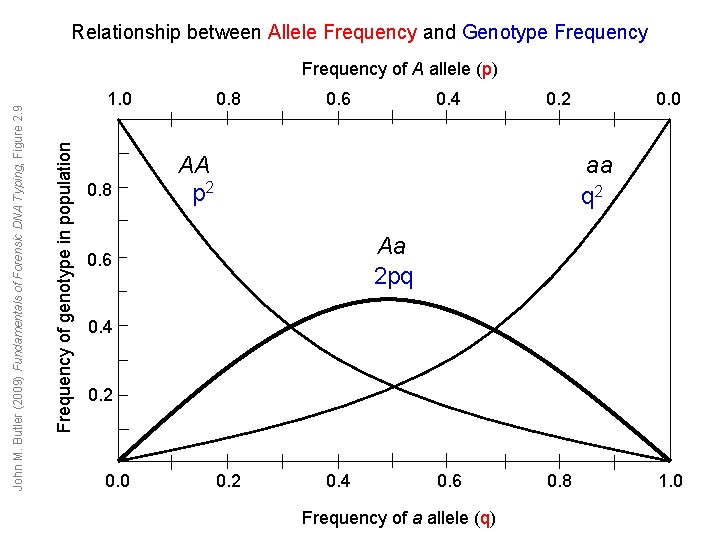 Relationship between Allele Frequency and Genotype Frequency 1. 0 Frequency of genotype in population Relationship between Allele Frequency and Genotype Frequency 1. 0 Frequency of genotype in population