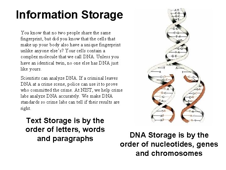 Information Storage You know that no two people share the same fingerprint, but did Information Storage You know that no two people share the same fingerprint, but did