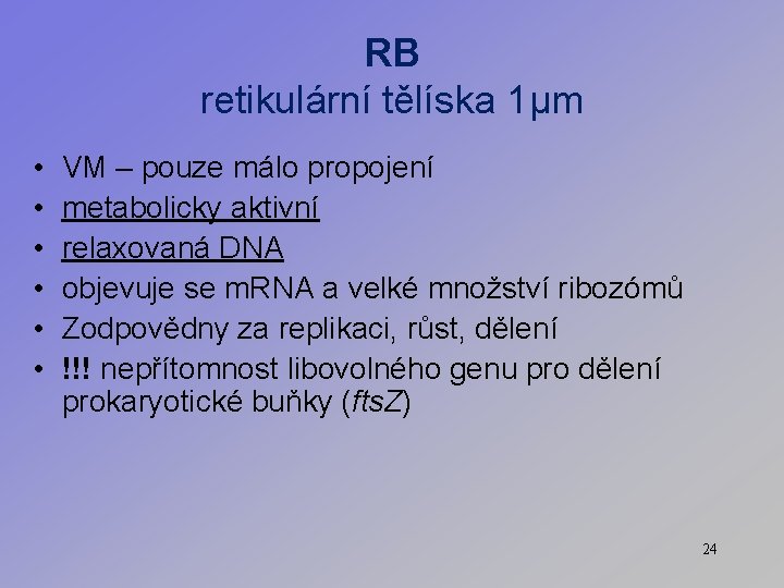 RB retikulární tělíska 1μm • • • VM – pouze málo propojení metabolicky aktivní