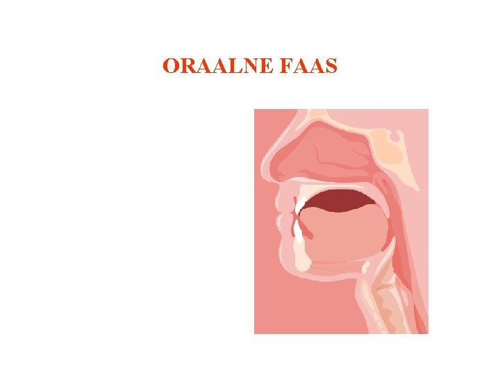 ORAALNE FAAS 