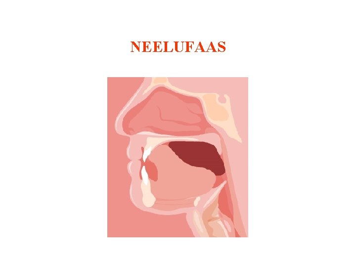 NEELUFAAS 