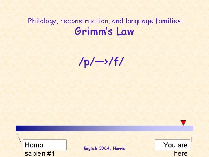 Philology, reconstruction, and language families Grimm’s Law /p/—>/f/ Homo sapien #1 English 306 A;