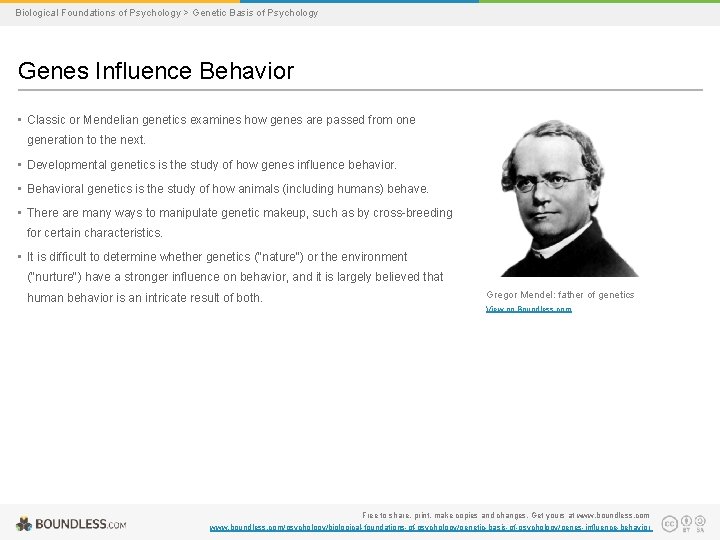 Biological Foundations of Psychology > Genetic Basis of Psychology Genes Influence Behavior • Classic