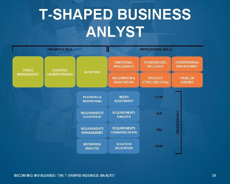 T-SHAPED BUSINESS ANLYST BECOMING INVALUABLE: THE T-SHAPED BUSINESS ANALYST 19 