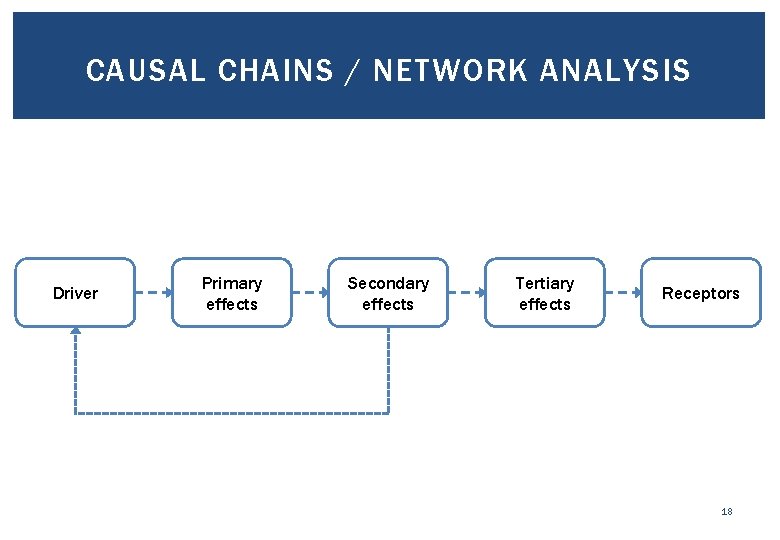 CAUSAL CHAINS / NETWORK ANALYSIS Driver Primary effects Secondary effects Tertiary effects Receptors 18