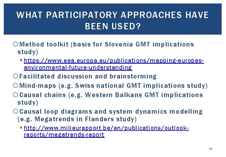 WHAT PARTICIPATORY APPROACHES HAVE BEEN USED? Method toolkit (basis for Slovenia GMT implications study)