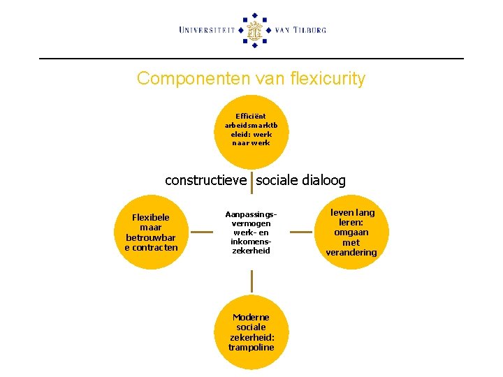 Componenten van flexicurity Efficiënt arbeidsmarktb eleid: werk naar werk constructieve sociale dialoog Flexibele maar