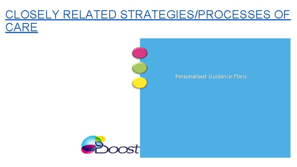 CLOSELY RELATED STRATEGIES/PROCESSES OF CARE 