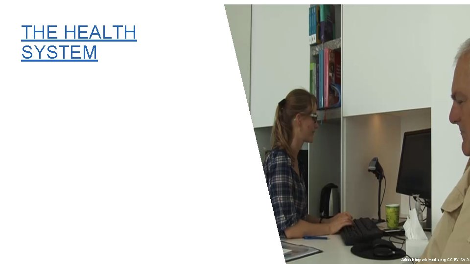 THE HEALTH SYSTEM Afbeelding: wikimedia. org CC BY-SA 3. 0 