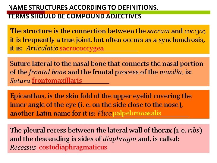 NAME STRUCTURES ACCORDING TO DEFINITIONS, TERMS SHOULD BE COMPOUND ADJECTIVES The structure is the NAME STRUCTURES ACCORDING TO DEFINITIONS, TERMS SHOULD BE COMPOUND ADJECTIVES The structure is the
