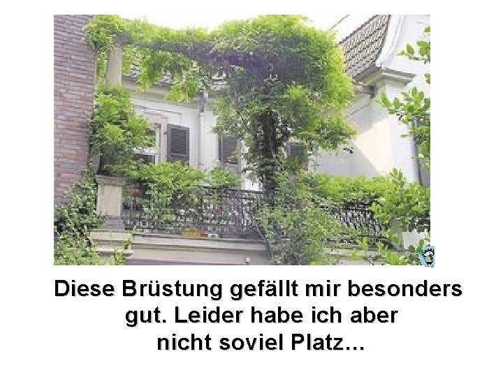 Diese Brüstung gefällt mir besonders gut. Leider habe ich aber nicht soviel Platz… 