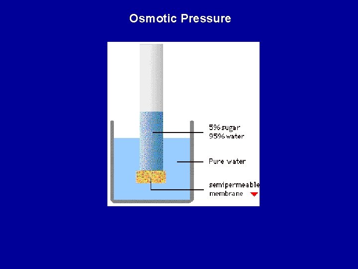 Osmotic Pressure 