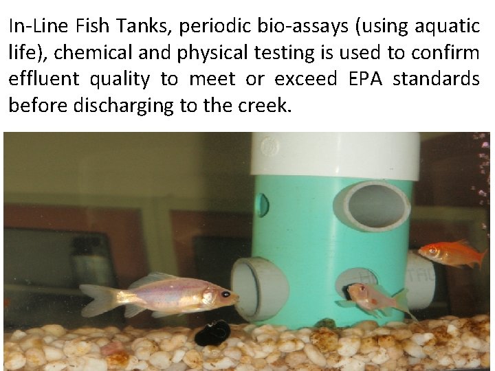 In-Line Fish Tanks, periodic bio-assays (using aquatic life), chemical and physical testing is used