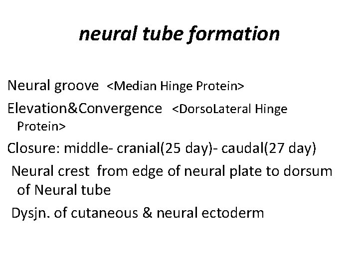 neural tube formation Neural groove <Median Hinge Protein> Elevation&Convergence <Dorso. Lateral Hinge Protein> Closure: