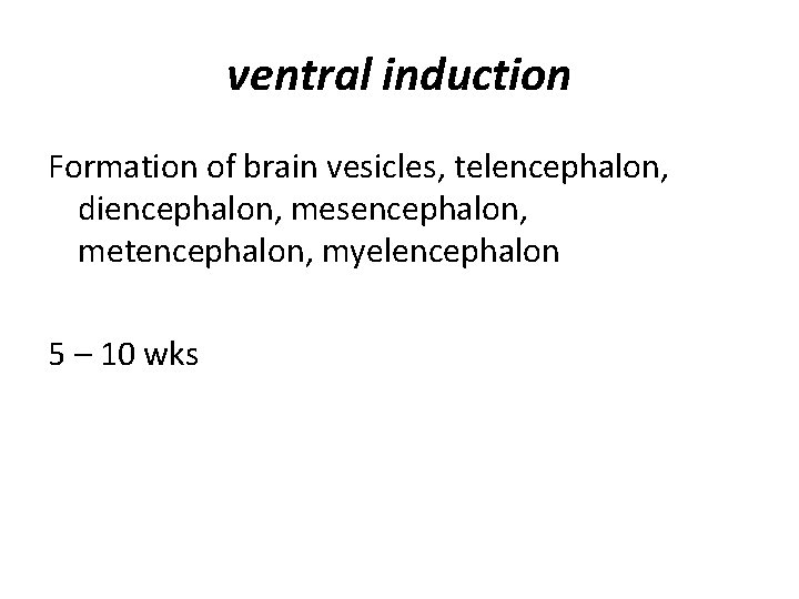 ventral induction Formation of brain vesicles, telencephalon, diencephalon, mesencephalon, metencephalon, myelencephalon 5 – 10