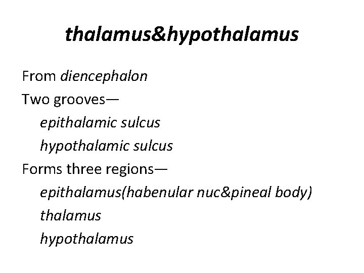 thalamus&hypothalamus From diencephalon Two grooves— epithalamic sulcus hypothalamic sulcus Forms three regions— epithalamus(habenular nuc&pineal