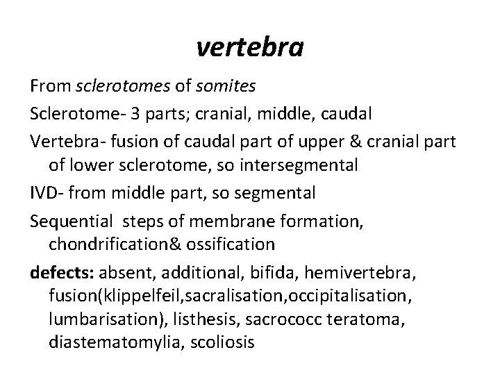 vertebra From sclerotomes of somites Sclerotome- 3 parts; cranial, middle, caudal Vertebra- fusion of