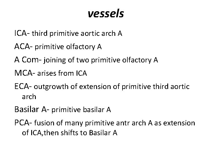 vessels ICA- third primitive aortic arch A ACA- primitive olfactory A A Com- joining