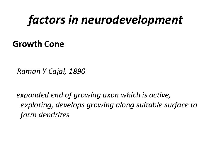factors in neurodevelopment Growth Cone Raman Y Cajal, 1890 expanded end of growing axon
