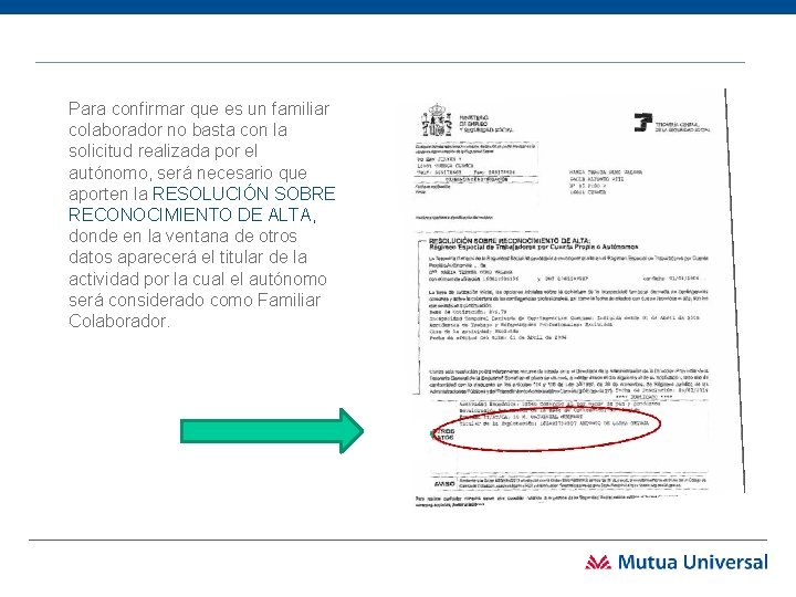 Para confirmar que es un familiar colaborador no basta con la solicitud realizada por