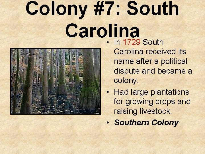 Colony #7: South Carolina • In 1729 South Carolina received its name after a