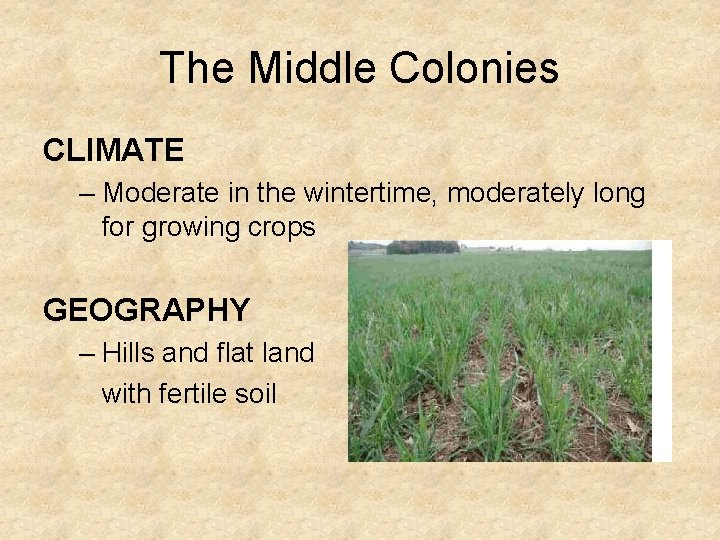 The Middle Colonies CLIMATE – Moderate in the wintertime, moderately long for growing crops