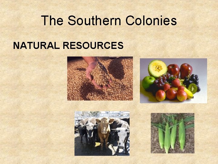 The Southern Colonies NATURAL RESOURCES 