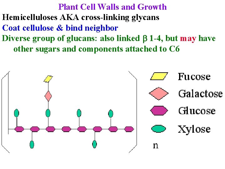 Plant Cell Walls and Growth Hemicelluloses AKA cross-linking glycans Coat cellulose & bind neighbor
