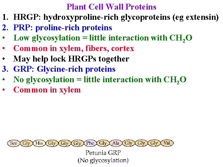 1. 2. • • • 3. • • Plant Cell Wall Proteins HRGP: hydroxyproline-rich