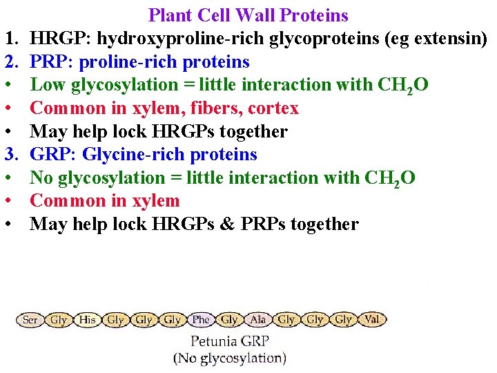 1. 2. • • • 3. • • • Plant Cell Wall Proteins HRGP: