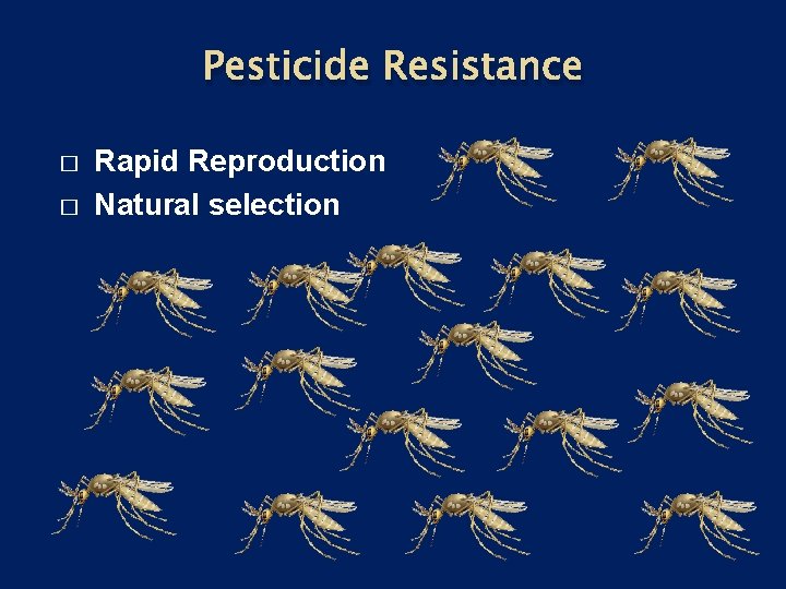Pesticide Resistance � � Rapid Reproduction Natural selection 